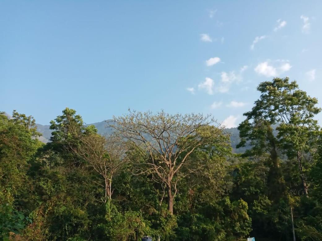 Wayanad Snow Vibes Βίλα Vythiri Εξωτερικό φωτογραφία