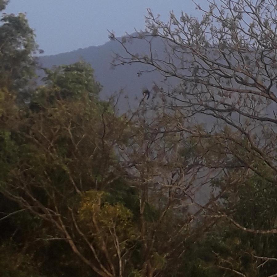 Wayanad Snow Vibes Βίλα Vythiri Εξωτερικό φωτογραφία